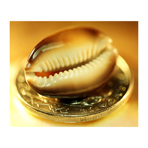 Perles de coquillages coquillages blancs coquillages coquillages coquillages naturels décor de plage/accessoires - Product Image 2