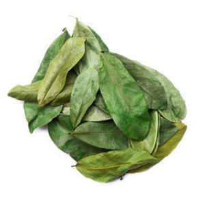 Feuilles de Corossol-Safaty-Naturel-Wildcrafted - Product Image 2