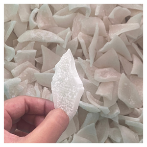 Saborea la carne de coco seca de Vietnam: perfecta para postres, bebidas y bocadillos con sabor tropical puro en carne de coco seca - Product Image 3