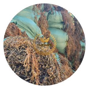 สาหร่ายสาหร่าย Sargassum สาหร่าย/สาหร่ายดิบใช้สำหรับอาหารสัตว์และปุ๋ยผลิตในเวียดนามสำหรับการส่งออก - Product Image 1