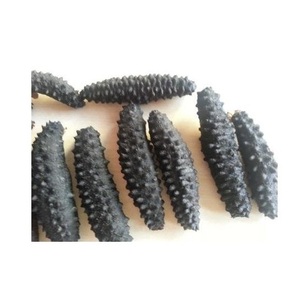 Cantidades al por mayor de pepino de mar seco y deshidratado - MARISCOS SECOS y CONGELADOS disponibles aquí a los mejores precios - Product Image 1