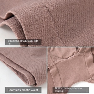 Ladies Boxer Panties Plus Size Invisible Safety Pants Outside <strong>Shorts</strong> Panty <strong>Seamless</strong> High Elastic Women Boyshorts <strong>Underwear</strong> - Product Image 3