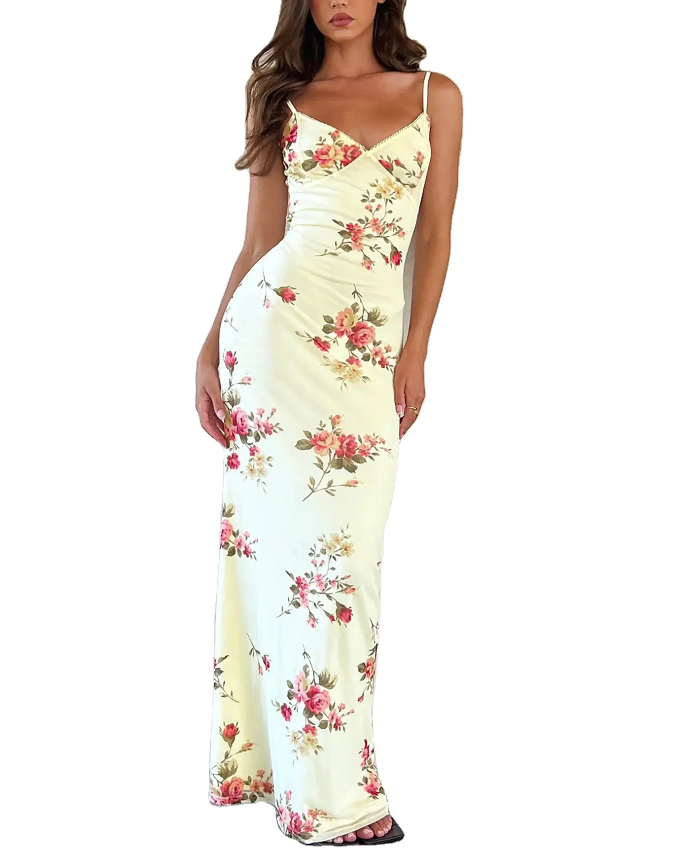 Hot Sell 2024 Elegant Floral Print Dress Sleeveless Halter Long Slip Dress Backless V Neck Dress Vacation