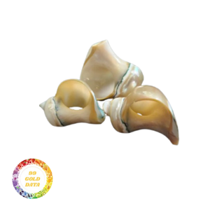 Ensemble d'anneaux de serviette en coquillage naturel fait à la main, idéal pour les événements nautiques et les repas à la maison, ajoute une touche de charme océanique - Product Image 2