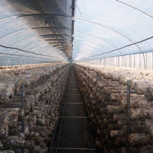 Serre tunnel agricole entièrement automatisée à obscurcissement total à portée unique - Product Image 3