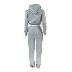 Colección 2024, conjunto de chándales deportivos para mujer, chándal con capucha y logotipo personalizado de alta calidad, último diseño al por mayor - Product Image 3