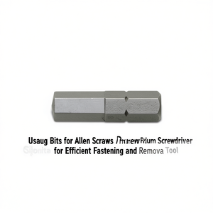 Usag Bits for Allen Screws Premium Screwdriver <b>Tool</b> for Efficient Fastening and Removal - Product Image 2