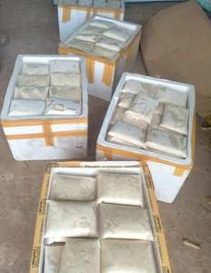 GROSSEURS DE FRUIT DE LA PÉPINIERE CONGELÉS DE QUALITÉ SUPÉRIEURE, MORCEAUX ET PURÉ DE FRUIT DE LA PÉPINIERE POUR SMOOTHIES, DESSERTS, BOISSONS ET EXPORTATION // Mme Lily Ngo - Product Image 5