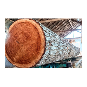 <b>African</b> Mahogany Wood Logs, Sustainable and Durable - Product Image 1
