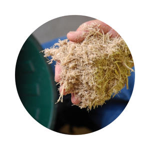 ชานอ้อยขาวราคาถูกจากเวียดนามสำหรับปุ๋ยและการให้อาหารสัตว์สินค้าส่งออกในประเทศ2025จากผู้ผลิตเวียดนาม - Product Image 1