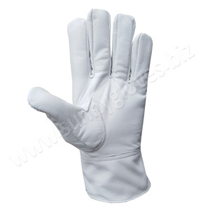 2022 Goatskin Leather <b>Driver</b> <b>Gloves</b> / Argon <b>Gloves</b> made of goat skin leather - Product Image 1