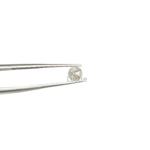 สีเทาขาวกุหลาบตัดเกลือพริกไทยเพชรธรรมชาติหลวมได้รับการรับรอง gjepc 2.5-4มม. - Product Image 1