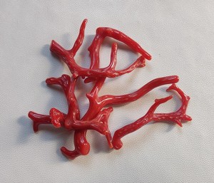 Palo de coral rojo italiano natural genuino, palo pulido de coral rojo italiano natural 100%. Palo de Coral Brillante Pulido, Palo de Coral - Product Image 1