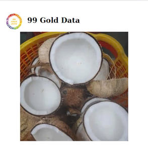 Viande de noix de coco congelée IQF du Vietnam avec texture blanche et goût naturel idéal pour la cuisson des desserts smoothies et des usines alimentaires - Product Image 5