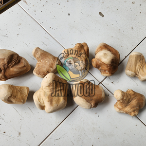 Fabricante de palitos masticables de madera natural seguros y duraderos para perros de Indonesia - Product Image 5