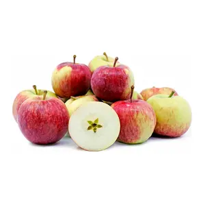 Cheap Price Fresh Stock Fresh Empire Apples For Sale In Bulk With Fast Delivery