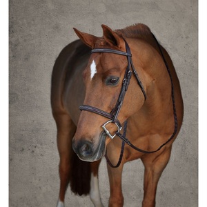 Belle bride anatomique pour dressage Rembourrage doux et produits pour chevaux confortables - Product Image 4