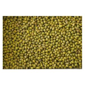 Wholesale Supplier Of Bulk Fresh Stock of Green Mung <b>Beans</b> / Whole Moong <b>Beans</b> - Product Image 3