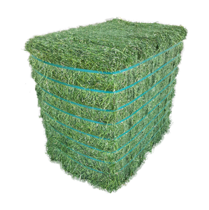 Heno de Alfalfa Fresco Verde de Primera Calidad con Alto Contenido de Nutrientes - Product Image 1