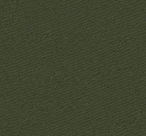 สีเขียวมะกอก