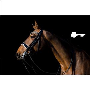 Bride de cheval en cuir véritable Bride de cheval en cuir de luxe Bride de cheval BEST High Genuine Leather High Quality - Product Image 3