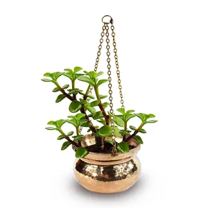 Handmade Hand Hammered Flower Pot With Copper Hanging 11cm-15cm-17cm-20cm
