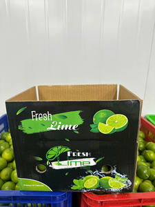 CITRONS VIETNAMIENS PREMIUM SANS GRAINES, FRAIS, JUS ET LONGUE DURÉE DE CONSERVATION - Product Image 5