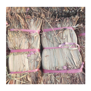 Jacinto de agua en tendencia: de origen natural y fácil de usar para elaborar muebles y decoración populares y llamativos - Product Image 1