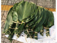 Feuilles de Dong vert frais enveloppant la feuille produit écologique du Vietnam