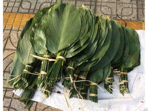 Feuilles de Dong vert frais enveloppant la feuille produit écologique du Vietnam - Product Image 2