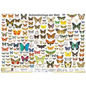 Póster de mariposas del mundo DIN A1 en alemán, hecho de papel para decoración de paredes - Product Image 1