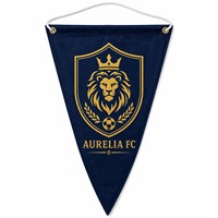 Drapeaux de fanions personnalisés pour équipes de football, style sportif, forme triangulaire, utilisation en stade, impressions numériques, polyester, imperméables, protection UV