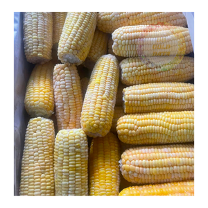 Vietnam Frozen Corn Supplier - Direct Factory Export, Competitive Pricing, and Reliable Bulk Supply - Product Image 2