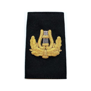 Jeu d'épaulettes OEM brodées à la main pour hommes épaulettes personnalisées uniformes de compagnies aériennes insignes d'épaulettes - Product Image 1