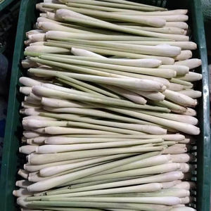 Cortes de Limoncillo Congelados Listos para Usar: Picados/Rebanados, 100% Naturales, Grado A, Ingredientes Sin OMG para Alimentos Globales - Product Image 1