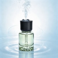 Mini diffuseur d'arômes en verre, humidificateur portable, diffuseur de parfum électrique pour la maison, le bureau et la voiture, Astree