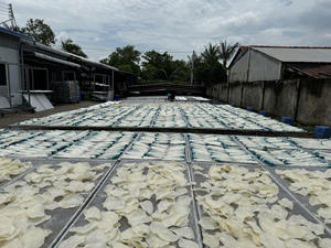 Tripa de Pescado Seca a Granel, Venta Directa del Fabricante en Vietnam, MOQ Bajo Disponible |   Tripa de Lubina/Basa - Product Image 5