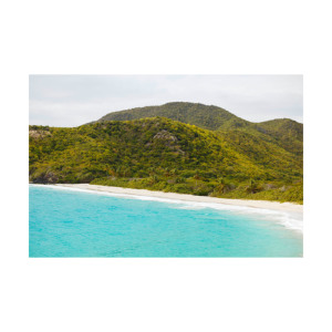 Troncos largos de haya para construcción y fabricación de muebles: suministro a granel a precios competitivos para su próximo proyecto - Product Image 5