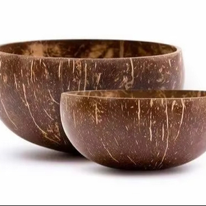 Juego de servir de madera ecológico de diseño Vintage 2025, cuenco de cáscara de coco de alta calidad, hecho a mano, Vietnam, personalizado para Decoración - Product Image 1