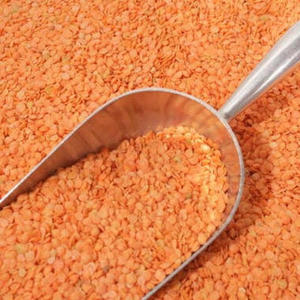 New Crop High Quality Whole and Split Lentils/<b>Red</b> Lentils For Sale - Product Image 1