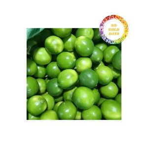 Cítricos jugosos de Lima verde fresca de calidad premium vietnamita para exportación y uso diario - Product Image 2