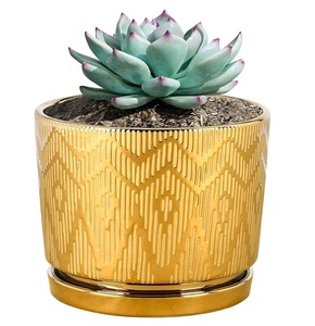 กระถางปลูกต้นไม้สมุนไพรโลหะสำหรับตกแต่งบ้านกระถางต้นไม้ทำจากผงสีดำเคลือบสีทอง - Product Image 6