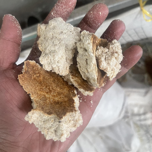 Pastel de Copra/Harina de Copra de coco natural por producto para la industria de piensos en Vietnam - Product Image 1