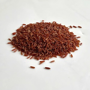 Premium Red <b>Rice</b> Aromatic and nutritious long grain <b>rice</b> perfect for healthy everyday meals Contact Ms Kayla +84 85 693 9777 - Product Image 4