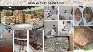 Cacahuetes Tostados Crudos 42 50, Cacahuetes Tostados Secos, Cacahuetes Tostados Naturales, Cacahuetes Tostados Sin Sal, Cacahuetes Tostados a Granel - Product Image 6