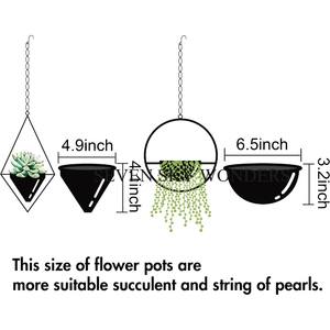 Maceta moderna montada en la pared maceta colgante interior colgante soporte de planta de Metal para oficina en casa estilo lujoso diseño moderno mejor - Product Image 3