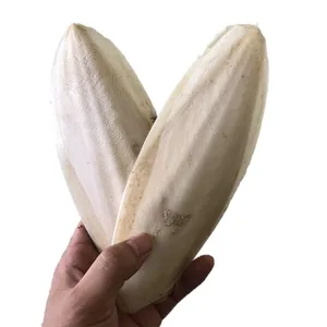 Cuttlebone-pescado seco, hueso de alta calidad de Vietnam, la mejor opción, buen precio