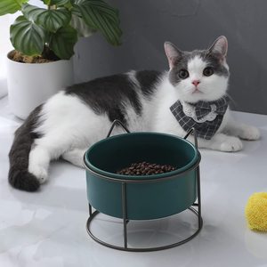 Prix de gros Bol pour chat en porcelaine de haute qualité Design surélevé pour petits chiens Nouveau Top Tendance Nourriture pour chat large incliné Métal - Product Image 3