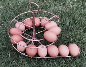 Estante para huevos de hierro con base estable Soporte para huevos con fondo fuerte y espiral vertical para un uso y configuración fáciles - Product Image 1