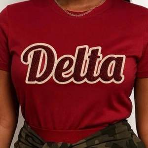Delta เสื้อยืดปักลาย chenille 1913ผ้าฝ้ายพรีเมี่ยมเสื้อผ้าชมรม DST เสื้อผ้ากรีก Maroon ลำลอง - Product Image 4
